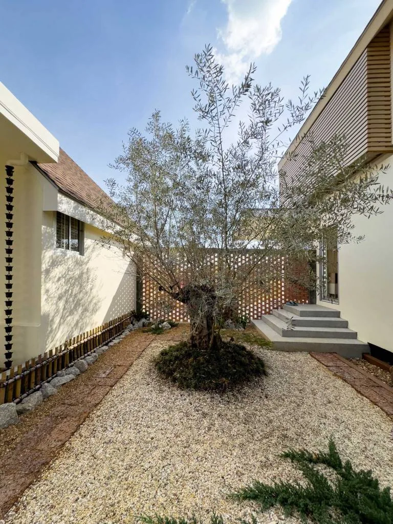 Alex House — photo 18